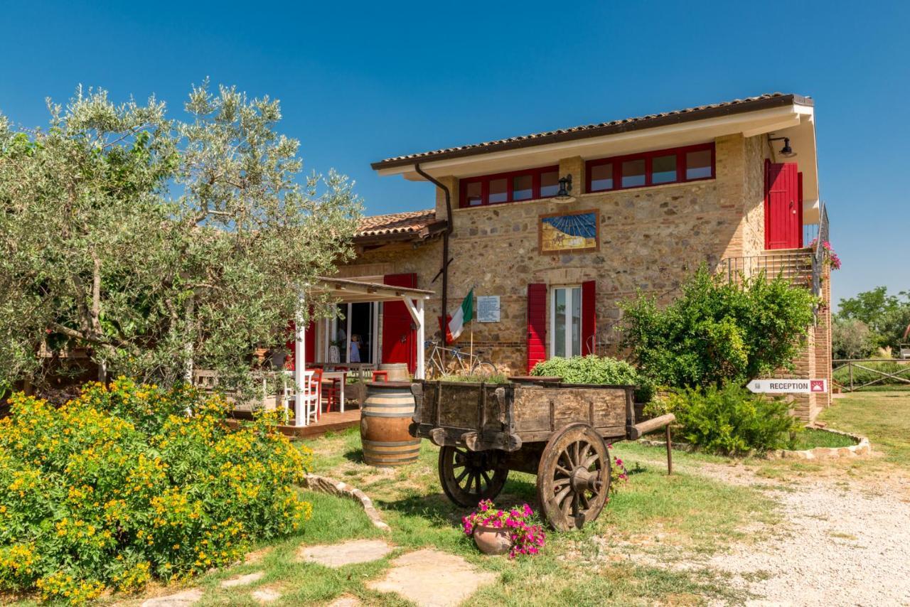 Il Barbagianni Bed & Breakfast Montepescali Eksteriør bilde