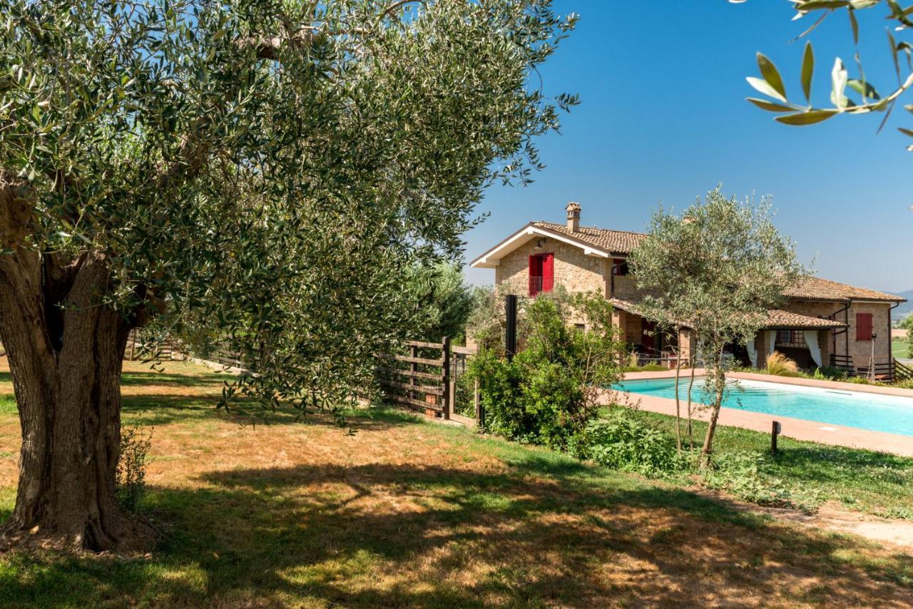 Il Barbagianni Bed & Breakfast Montepescali Eksteriør bilde